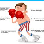 All Stars - Boxer - Image 3
