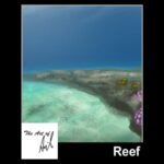 Ground - Reef