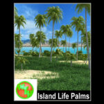 Island Life - Palms