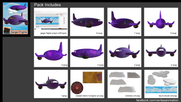 Geiger Flights - Image 3
