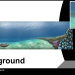 Ground - Reef - Image 2