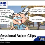 Granny Nice Audio Pack - Image 3