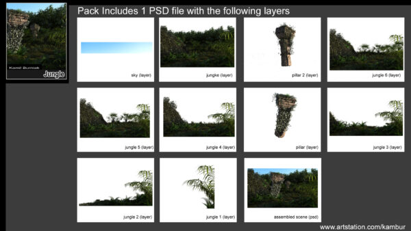 Jungle - Image 3