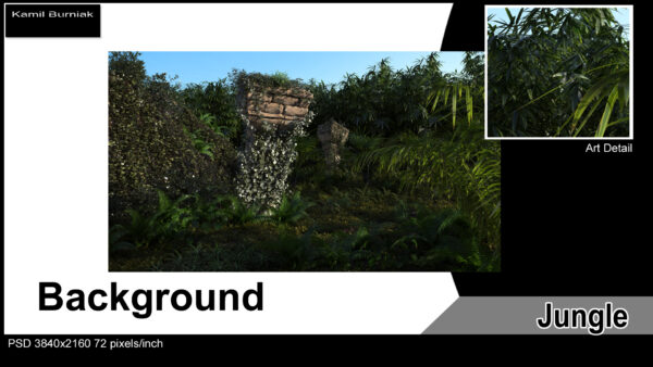Jungle - Image 2