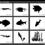 Fish - Image 3