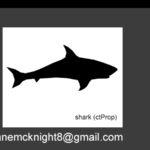 Fish - Image 4